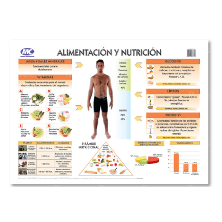 Lámina Mural Ciencias Alimentación y Nutrición  82 x 118 cm. - Doble Faz -