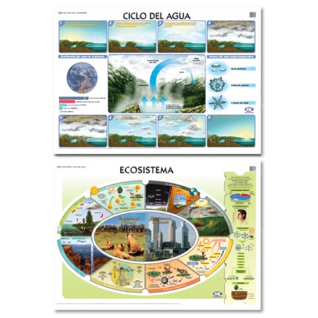 Lámina Mural Ciencias Ciclos del Agua/ Ecosistema 72 x 102 cm. - Doble Faz -