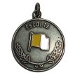 Medalla Escolta Papal Plata Vieja Pintada